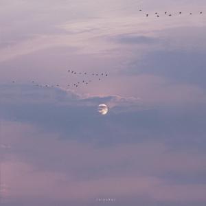 柳州莫菁12段决赛回放
